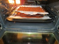 IMG_0390.jpg