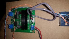 PE T-Amp (4).jpg