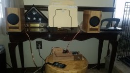 PE T-Amp (1).jpg