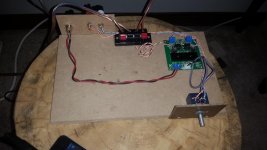 PE T-Amp (3).jpg