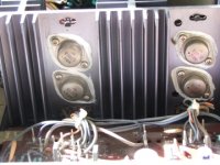 amp sat 6.jpg
