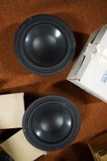 DSC01065.jpg