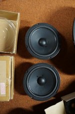 DSC01066.jpg