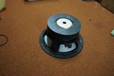 DSC01072.jpg