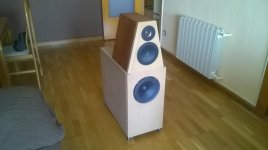 WP_20170306_002%5b1%5d.jpg
