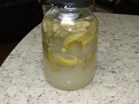 IMG_0058.jpg