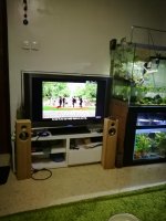 IMG_20170322_202308.jpg