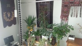 2017-02-25 11.41.37.jpg