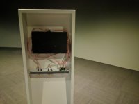 IMG_20170301_130804.jpg