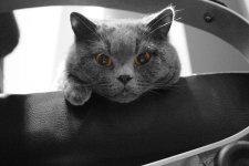 IMG_2947_rework.jpg