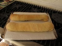 poppyseed4.jpg