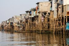 mekong fish.jpg mekong fish.jpg