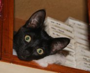 DSC00502.JPG