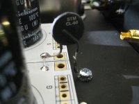 IMG_6223ww.jpg