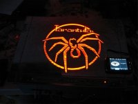 low_tarantula015.jpg
