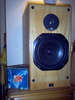 Monitor Audio R300-MD resurrected Cabinet.jpg