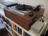 DSCN5391.jpg