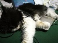 img_20170201_002218_1_31819804973_o.jpg