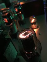 IMG_2446.jpg