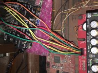 IMG_8735 (Custom).jpg