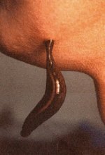 leech.jpg