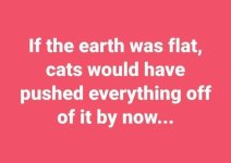 flat_cats.jpg