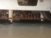 IMG_1377qq.JPG