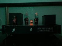 IMG_2461.jpg