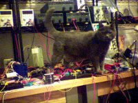 genius_at_work.jpg