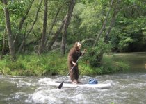 Sasquatch_on_board.jpg
