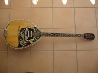 DSC08973.jpg