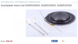 Madiasound replacement voicecoil.JPG