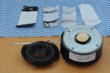 DSC_4742.jpg