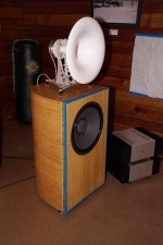 Speakers with Pass amps.jpg Speakers with Pass amps.jpg