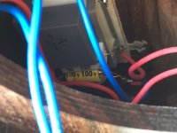 IMG_7351.JPG