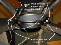 drive unit polarity question.jpg