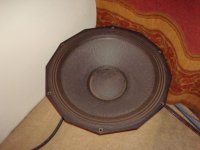 DSC01338.JPG