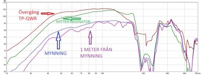 M_tningar-_ROAR12.jpg