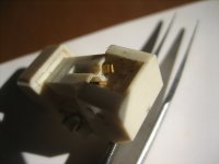 IMG_3706.JPG