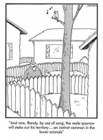 farside_fences.png