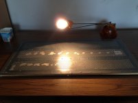 IMG_5843.JPG