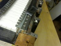 rib short_magn.JPG
