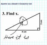 blondegeometry.jpg