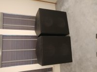 20170410_192028.jpg