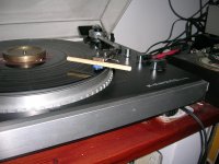 2 Shure + longhorn.JPG