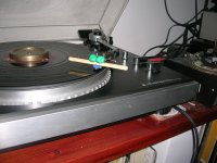 5 Shure+longhorn+2.4gr center mass.JPG