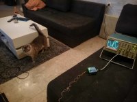 20934008_3733670703600_2131964993766145770_o.jpg