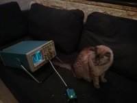 20988309_3733670423593_2214881097830296955_o.jpg