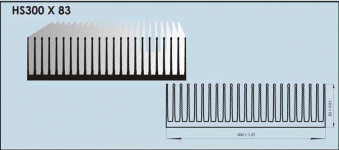 hs 300mmx83mm.png