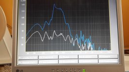 Acapella Bass-Mitten mit (weiß) und ohne (blau) EQ mit Horn.jpg